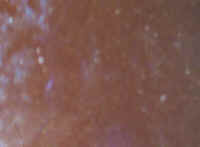 123-2378_IMG.JPG (50720 octets)
